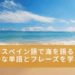 海の記事のアイキャッチ画像